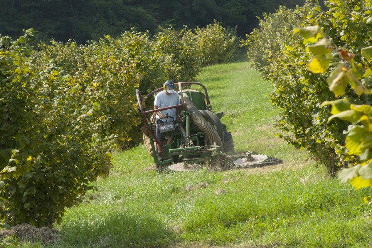 Azienda Agricola.