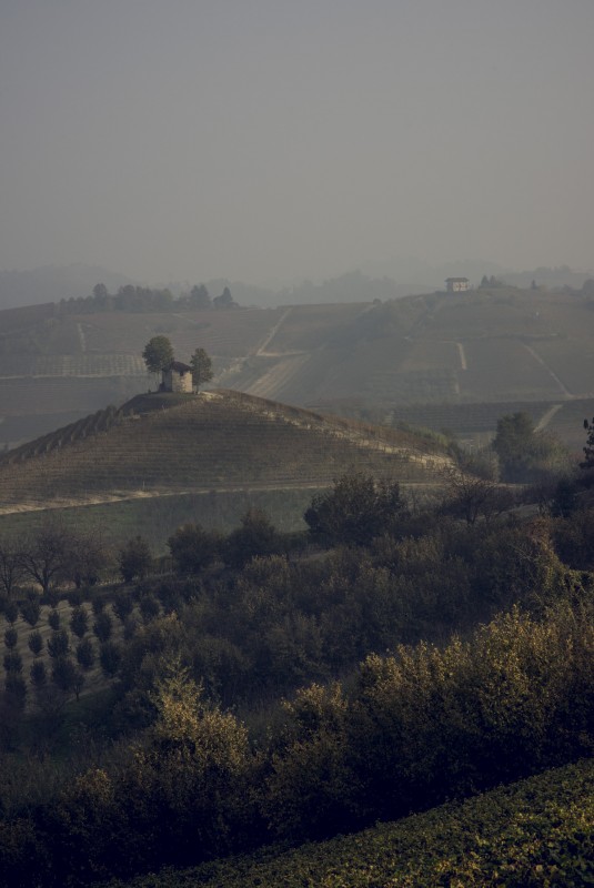 Passeggiata golosa PORTE'DISNE' 