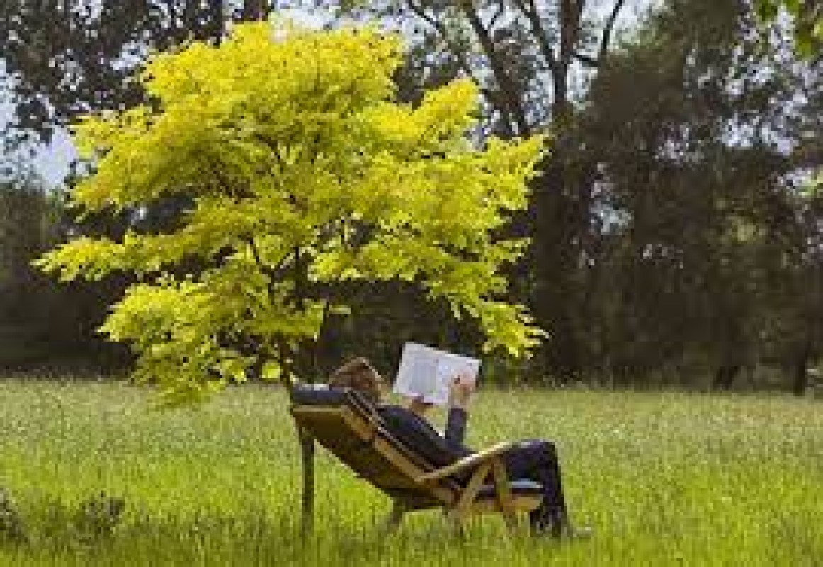 Salone Internazionale del Libro 2015